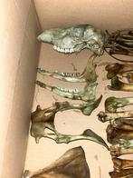 Natuurlijke botten set – ideaal voor kunst of decoratie, Ophalen of Verzenden, Schedel