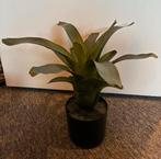 Groene kunstplant in pot, Huis en Inrichting, Woonaccessoires | Kunstplanten en Kunstbloemen, Ophalen, Gebruikt, Binnen