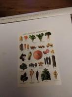 DE HERONTDEKTE. GROENTEN, Ophalen of Verzenden, Sterren en Beroemdheden