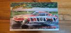 Nissan 240 Z G Fairlady #10 Fujimi Schaal 1/24, Hobby en Vrije tijd, Modelbouw | Auto's en Voertuigen, Ophalen of Verzenden, Groter dan 1:32