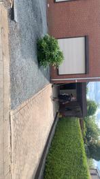 Stratenmaker en tuinonderhoud, Ophalen of Verzenden