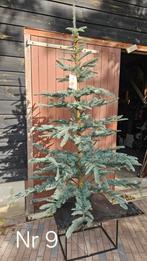 Kunst Kerstboom, Ophalen, Nieuw