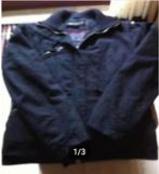 Dames winterjas merk Spoon mt L zwart, Kleding | Dames, Zwart, Ophalen of Verzenden, Zo goed als nieuw, Spoon