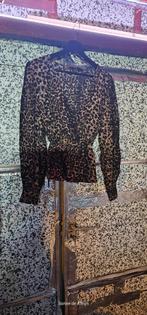 Kledingpakket Dames S/M - 29 stuks, Ophalen of Verzenden, Zo goed als nieuw, Maat 38/40 (M)