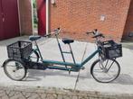 Driewieler Tandem, Ophalen, Minder dan 10 versnellingen, Gebruikt, 51 tot 55 cm