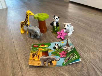 LEGO DUPLO Babydieren - 10904 beschikbaar voor biedingen