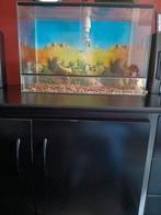 Terrarium in goede staat, Dieren en Toebehoren, Reptielen en Amfibieën | Toebehoren, Ophalen of Verzenden, Zo goed als nieuw, Verlichting