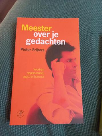 Pieter Frijters - Meester over je gedachten beschikbaar voor biedingen