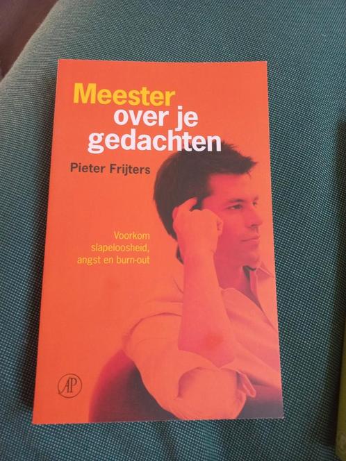 Pieter Frijters - Meester over je gedachten, Boeken, Psychologie, Zo goed als nieuw, Ophalen of Verzenden