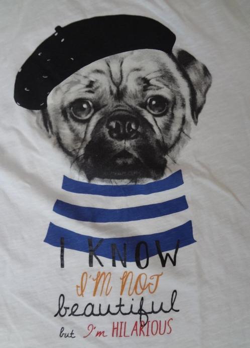 Shirt maat M, wit met afdruk hond erop, korte mouw. C&A, Kleding | Dames, T-shirts, Zo goed als nieuw, Maat 38/40 (M), Wit, Korte mouw