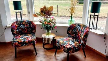 2 leuke stoelen / fauteuils beschikbaar voor biedingen