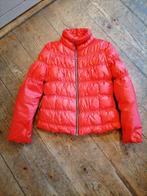 GUESS WINTER JAS, Guess, Zwart, Ophalen of Verzenden, Zo goed als nieuw