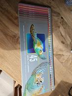 Bruynzeel kleurpotloden, Ophalen of Verzenden, Nieuw