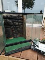 Gratis Terrarium, Dieren en Toebehoren, Ophalen, Zo goed als nieuw