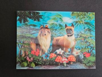 Oude ansichtkaart - Twee honden beschikbaar voor biedingen