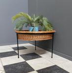 60 jaren ronde rotan magazine mand zwart frame planten mand, Ophalen, Gebruikt, Mand, Rond