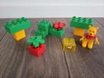 Lego Duplo Winnie de Poeh Set, Kinderen en Baby's, Ophalen of Verzenden, Gebruikt, Losse stenen, Duplo