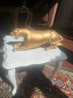 Gouden tijger, Minder dan 50 cm, Ophalen of Verzenden, Zo goed als nieuw, Minder dan 50 cm