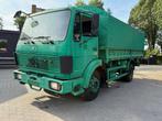 Mercedes Benz - 1017 - Vrachtwagen, Auto's, Overige brandstoffen, Mercedes-Benz, Bedrijf, Te koop
