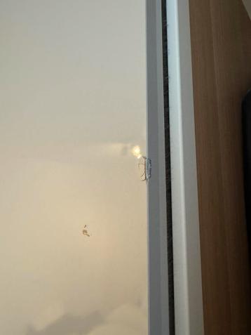 KASTDEUREN voor IKEA PAX - afbeelding 3