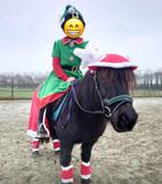 Verzorger gezocht