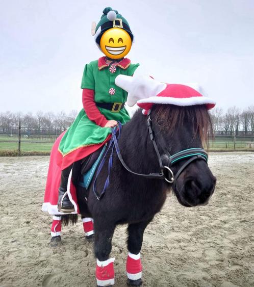 Verzorger gezocht, Diensten en Vakmensen, Dieren | Paarden | Verzorging, Oppas en Les