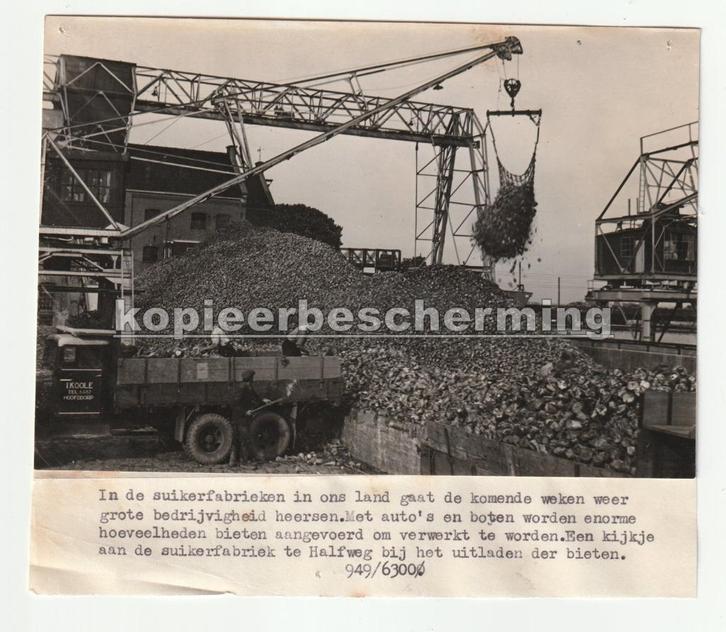 Suikerfabriek Halfweg oude persfoto jaren '50 ?, Verzamelen, Foto's en Prenten, Gebruikt, Foto, Gebouw, 1940 tot 1960, Verzenden