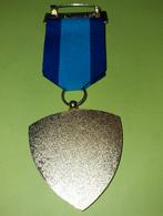 Carnavalsmedaille Bavaria Sporthal Ter AA, Ophalen of Verzenden