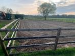 Te Huur Stalling Weidegang (VORDEN/BARCHEM), Dieren en Toebehoren, Weidegang