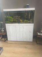 Zoetwater aquarium aqualantis, Dieren en Toebehoren, Ophalen, Zo goed als nieuw, Gevuld zoetwateraquarium