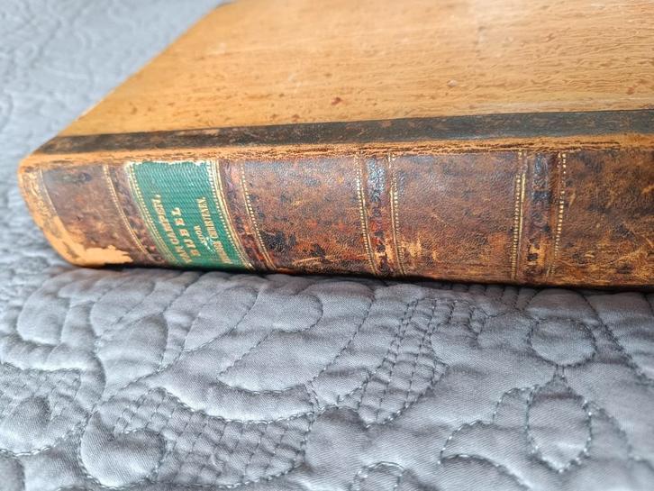 Bijbel door A.W. van Campen, Antiek en Kunst, Antiek | Boeken en Bijbels, Ophalen of Verzenden