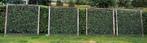6x douglas betonijzer trellis schutting paneel 180 x 180, Tuin en Terras, Ophalen, Gebruikt, Minder dan 3 meter, 1 tot 2 meter