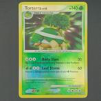 Torterra Lv.45 (DP 17), Ophalen of Verzenden, Zo goed als nieuw, Losse kaart