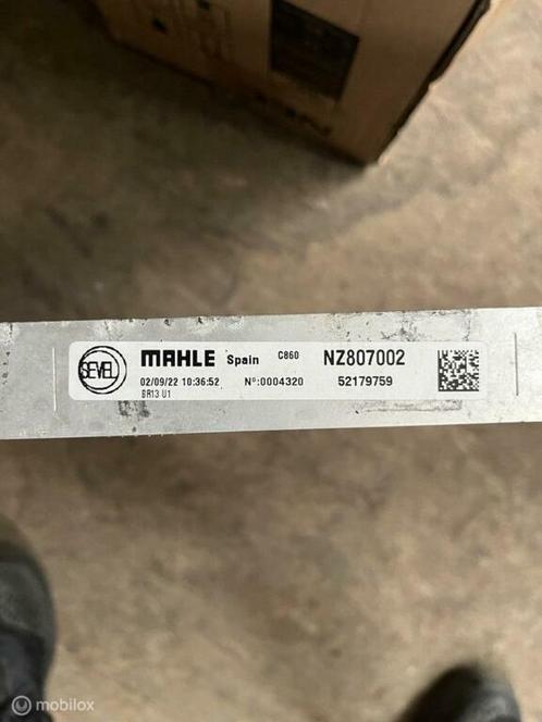 Radiateur origineel Fiat Ducato bestel ('19->) 52179759, Auto-onderdelen, Motor en Toebehoren, Fiat, Gebruikt, Ophalen of Verzenden
