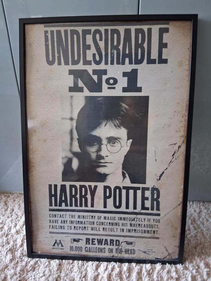 Harry Potter gezocht/vermist poster + lijst vd Ikea, Verzamelen, Posters, Nieuw, Film en Tv, A1 t/m A3, Rechthoekig Staand, Ophalen