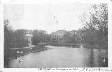 (386-109-025) Rotterdam Dierengaarde Paleis beschikbaar voor biedingen