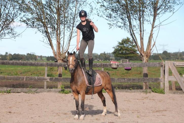 Super lieve c pony merrie, Dieren en Toebehoren, Pony's, Merrie, B, C pony (1.27m tot 1.37m), Recreatiepony, 11 jaar of ouder