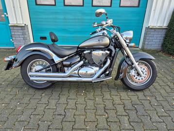 Suzuki Chopper C 800 Intruder LC Zeer netjes Cobra uitlaten  beschikbaar voor biedingen