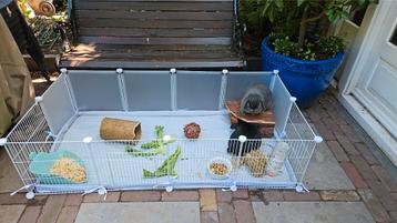 Trixie konijnenren met uitbreidingsset beschikbaar voor biedingen