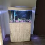 Aquarium aquatlantis 80 cm, Ophalen, Leeg aquarium
