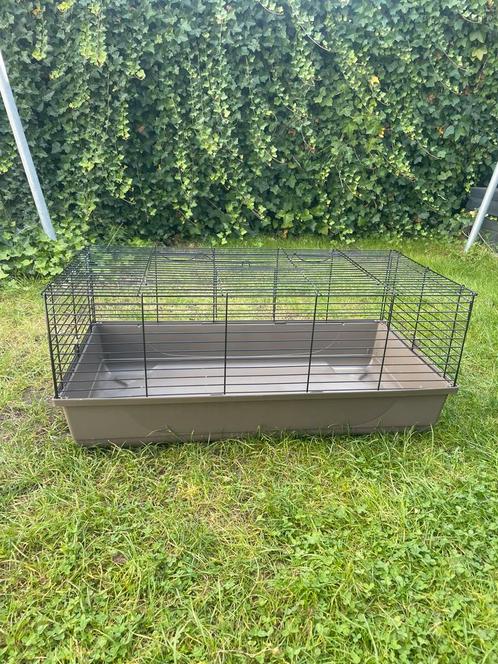 kuikenhok / caviahok, Dieren en Toebehoren, Pluimvee | Toebehoren, Zo goed als nieuw, Kippenhok of Kippenren, Ophalen