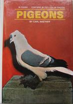 Duivenboeken, Dieren en Toebehoren, Vogels | Duiven, Meerdere dieren