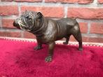 levensecht bronzen beeldje, Engelse bulldog, Antiek en Kunst, Ophalen of Verzenden