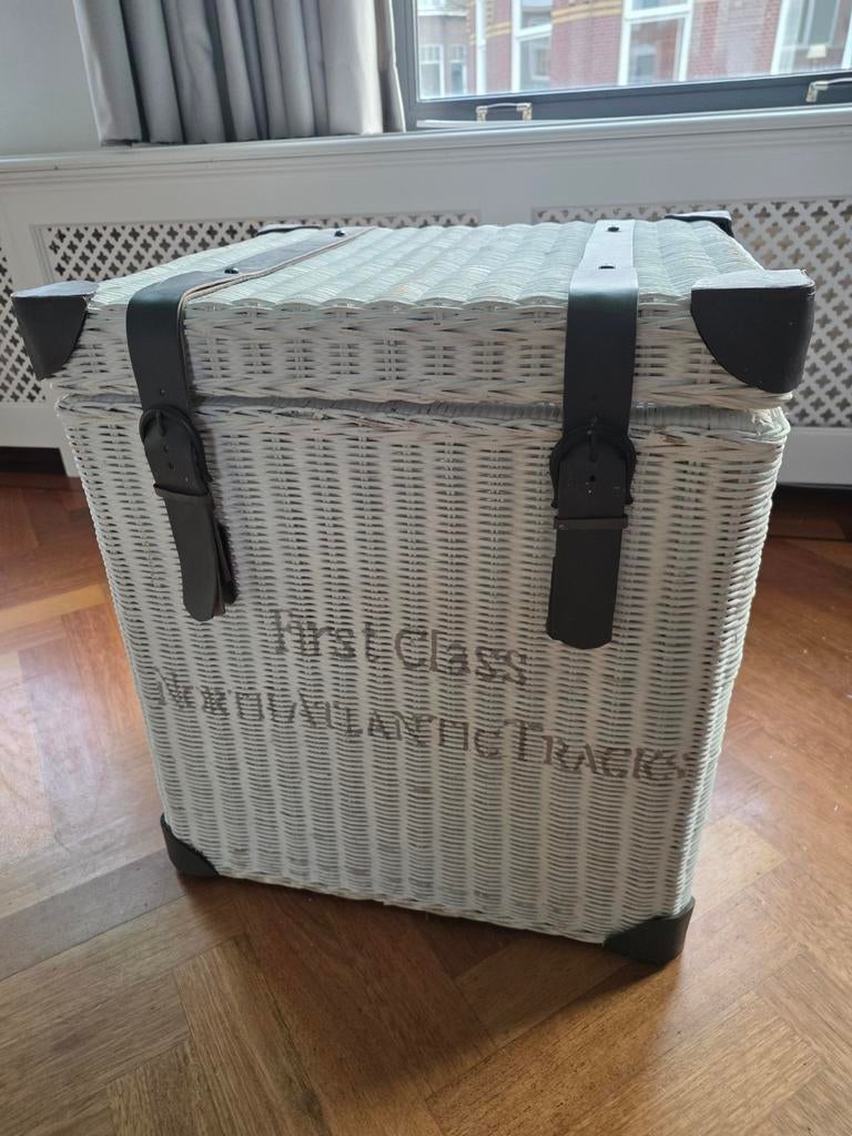 Rieten Opbergkistje, Huis en Inrichting, Woonaccessoires | Kisten, Ophalen, Overige materialen, Minder dan 50 cm, Minder dan 50 cm