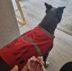 Dekje voor hond, Dieren en Toebehoren, Ophalen of Verzenden, Nieuw