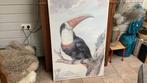 Toekan op canvas, Ophalen, Zo goed als nieuw, 75 cm of meer