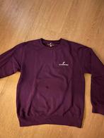 Flemming trui tour 2022, Ophalen of Verzenden, Gedragen, Maat 36 (S), Paars