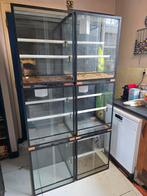 5x terrarium 50x40x60, Ophalen