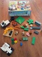 LEGO Duplo Wilde Dieren Set 4971, Ophalen, Zo goed als nieuw