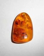 Barnsteen Amber steen, Ophalen of Verzenden, Mineraal